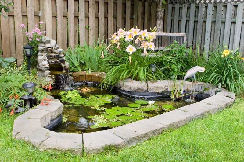 Pond Digging Service