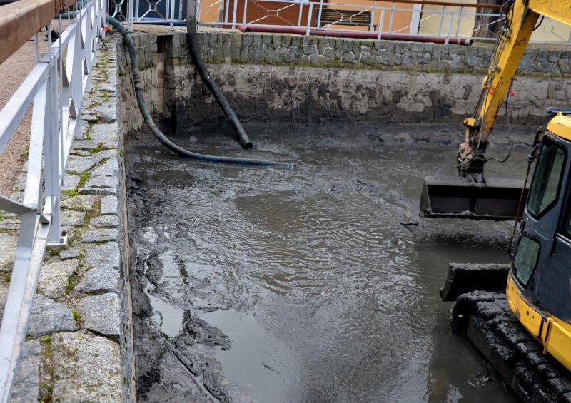 Accessibility of the Site